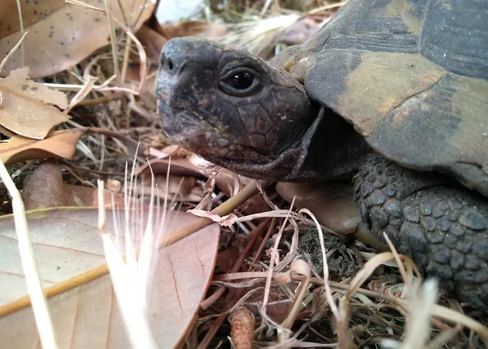 Διαμέρισμα Bohemian Rhapsody