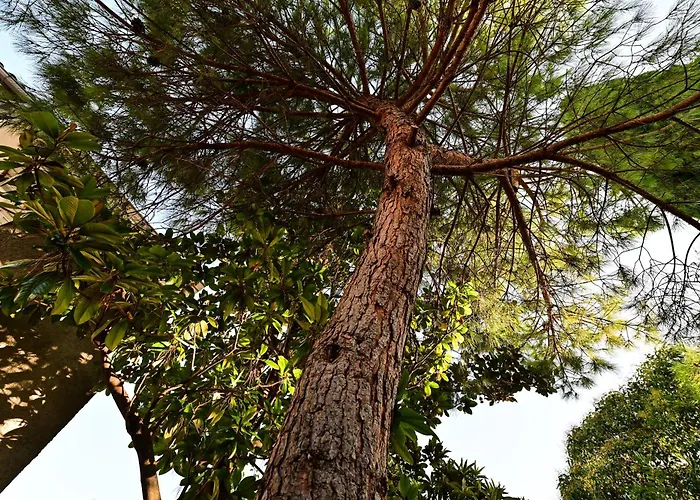 Bohemian Rhapsody Διαμέρισμα Ρόβινι