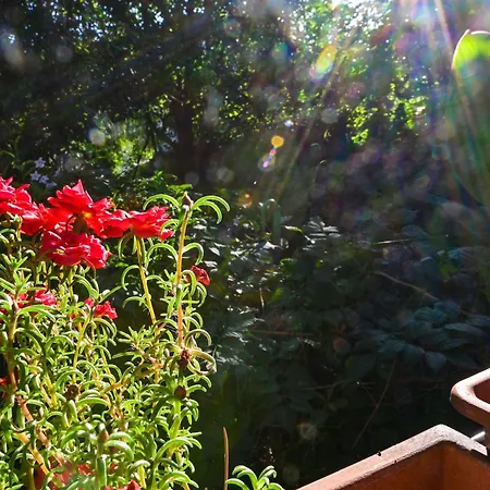 Apartment Bohemian Rhapsody