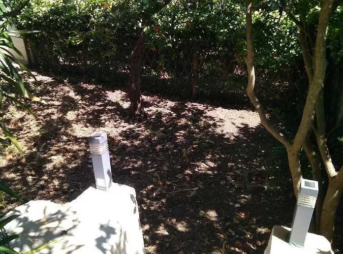 Apartamento Bohemian Rhapsody