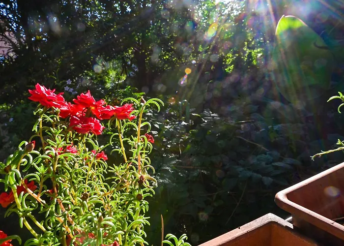 Apartamento Bohemian Rhapsody