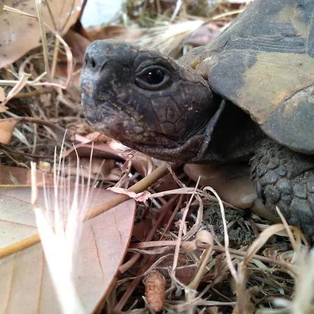 Apartman Bohemian Rhapsody